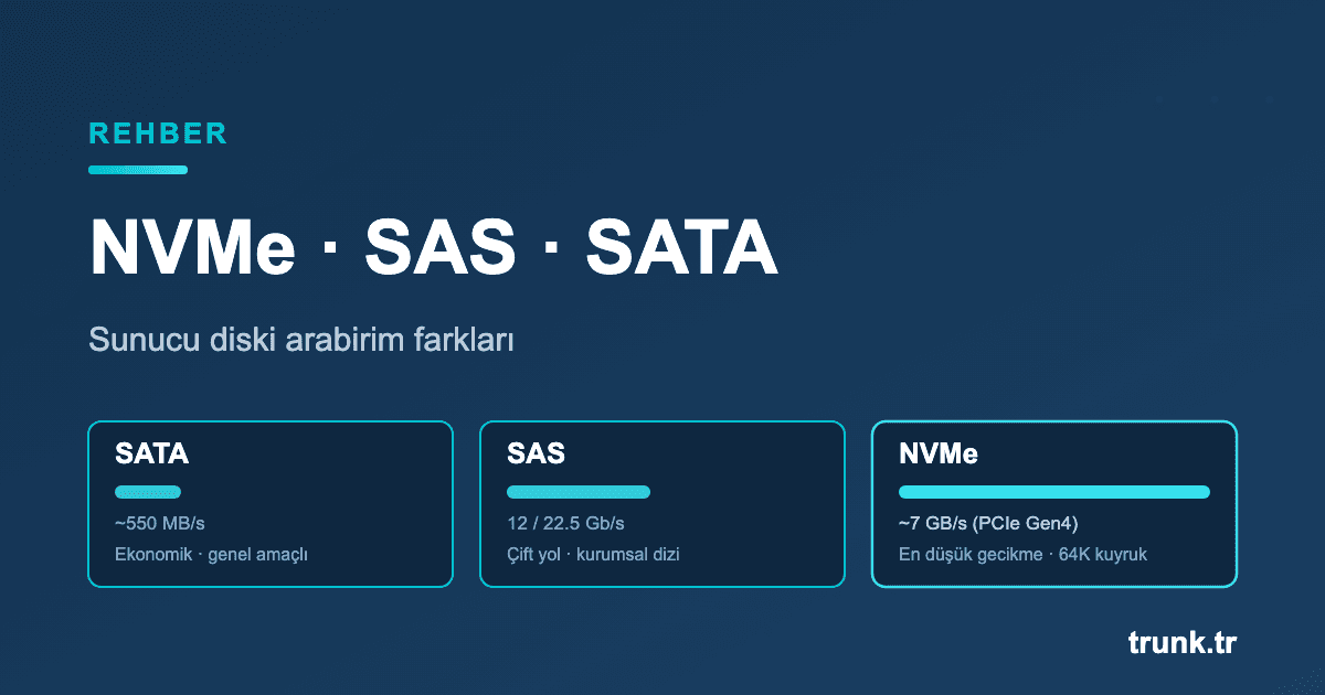 NVMe SAS SATA farkı - sunucu diski arabirim karşılaştırması