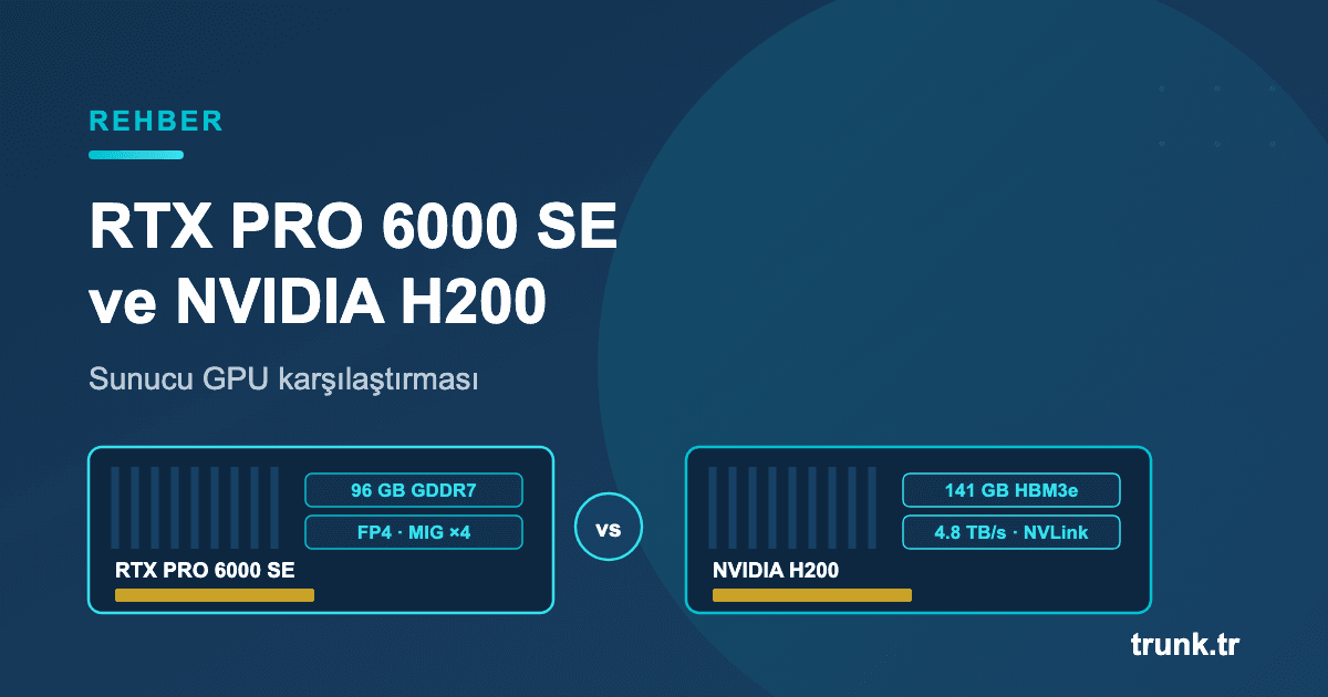 RTX PRO 6000 Server Edition ve NVIDIA H200 sunucu GPU karşılaştırması