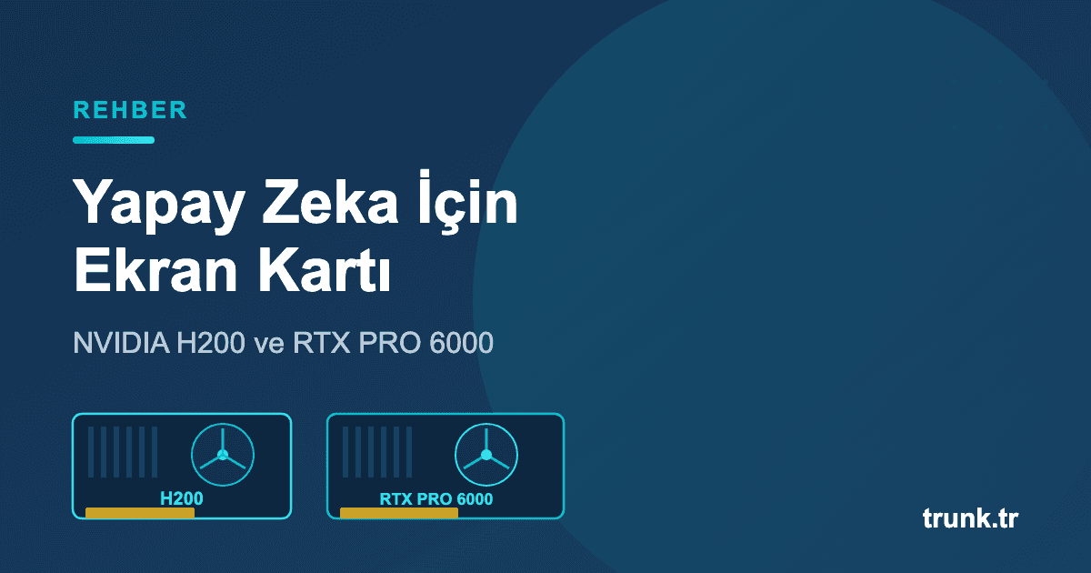 Yapay zeka ekran kartı - NVIDIA H200 ve RTX PRO 6000