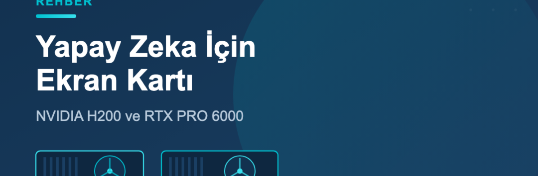 Yapay zeka ekran kartı - NVIDIA H200 ve RTX PRO 6000